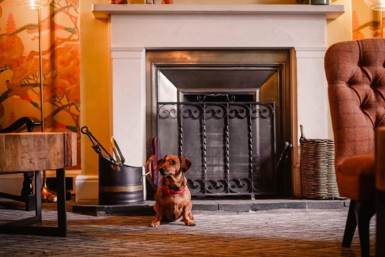 Royal Oak Hotel روسثويت المظهر الخارجي الصورة